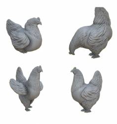 Chickens (4)